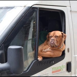 Meet your Posher, Justin